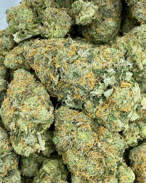 Red Congolese is a highly praised cannabis strain celebrated for its uplifting and invigorating effects.