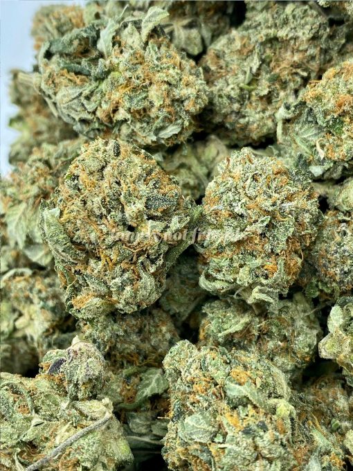 Rockstar is a renowned indica-dominant cannabis strain that delivers a powerful and relaxing experience.