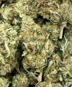 Rockstar is a renowned indica-dominant cannabis strain that delivers a powerful and relaxing experience.
