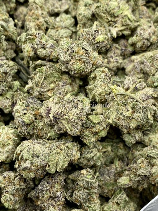 Runtz is a highly sought-after cannabis strain known for its potent effects and delightful flavors