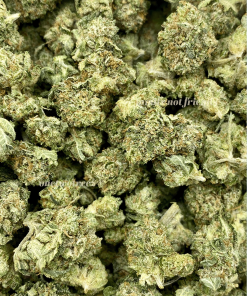 White Walker Bubba Popcorn is a popular cannabis strain that combines the potent White Walker Bubba with the convenience of smaller, popcorn-sized buds.