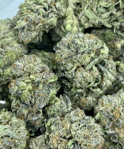 Bluefin Tuna Kush, also referred to as Bluefin Tuna, is a highly sought-after cannabis strain recognized for its potent effects and distinctive fragrance.