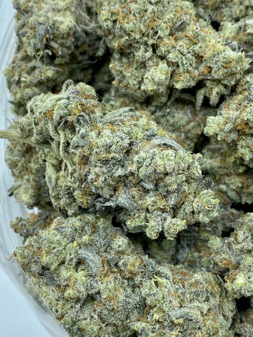 Hidden Pastry is a rare and evenly balanced hybrid strain (50% indica/50% sativa) that has been created by crossing the delicious Secret Cookies and Kush Mints strains.