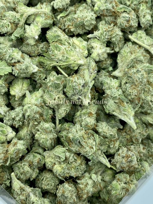 Lucky Charms is a well-balanced hybrid strain resulting from crossing The White and Appalachia strains.