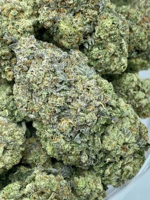 Mendocino Purps, a renowned cannabis strain with roots in Mendocino County, California, is a sativa-dominant hybrid (60% sativa, 40% indica).
