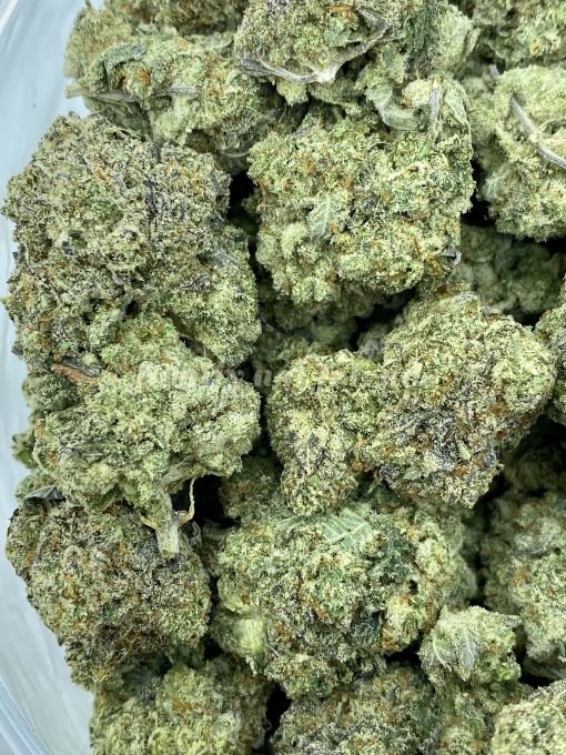 Mendocino Purps, a renowned cannabis strain with roots in Mendocino County, California, is a sativa-dominant hybrid (60% sativa, 40% indica).