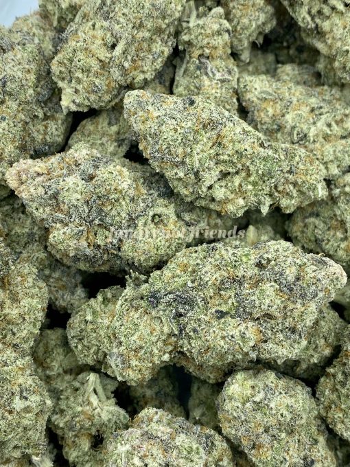 Miracle Alien Cookies, also known as MAC1, is an evenly balanced hybrid strain that is created by combining Alien Cookies F2 with Miracle 15 strains.