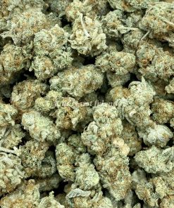 OG Shark is an indica dominant hybrid that boasts a distinctive, pungent earthy aroma with delightful hints of blueberry and diesel.
