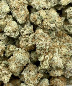 OG Shark is an indica dominant hybrid that boasts a distinctive, pungent earthy aroma with delightful hints of blueberry and diesel.