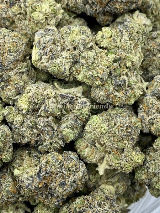 Apple Mintz is a sought-after indica-dominant hybrid strain created by crossing Apple Fritter and Sherbet.