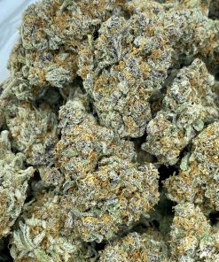 LSO Gas Daddy, a premium indica strain created by Loompa at Platinum Clouds farms