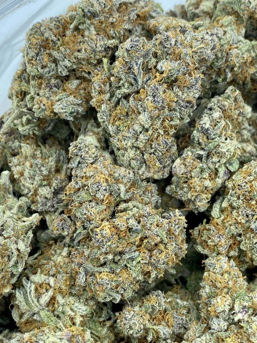 LSO Gas Daddy, a premium indica strain created by Loompa at Platinum Clouds farms