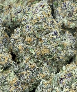Grape Gasoline is a balanced hybrid strain (50% indica/50% sativa) created by crossing Jet Fuel Gelato and Grape Pie.