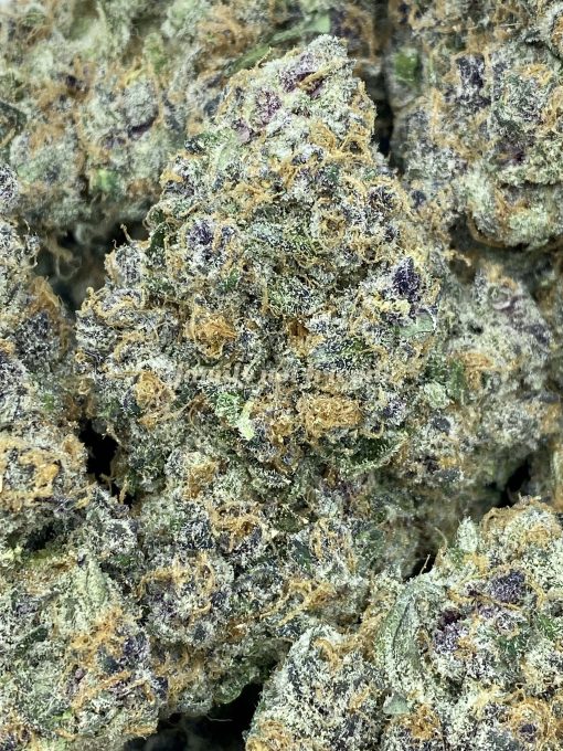 Grape Gasoline is a balanced hybrid strain (50% indica/50% sativa) created by crossing Jet Fuel Gelato and Grape Pie.