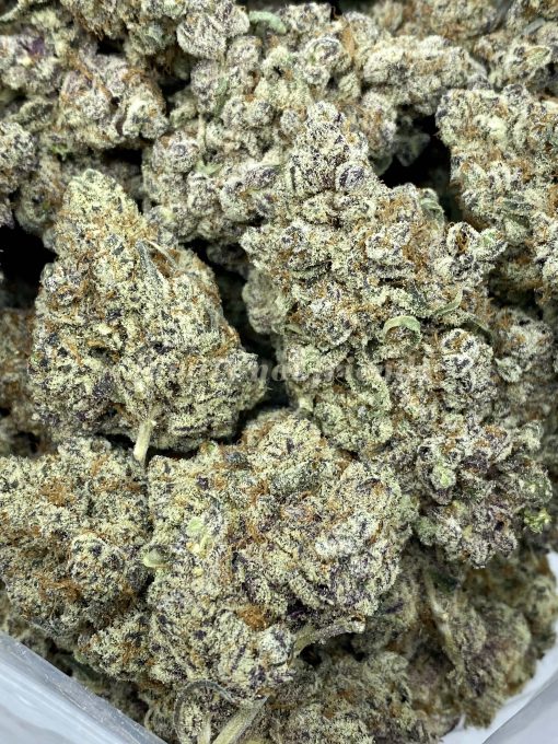 Purple milk is a delicious balanced hybrid strain that is created by crossing Purple Punch and Cereal Milk strains.