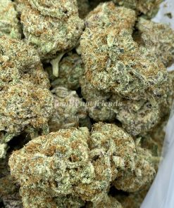 Vanilla Cookies is a hybrid cannabis strain suitable for anyone. A cross of Platinum GSC and Ms. Universe.