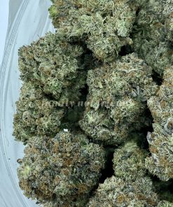 91 Octane, an exceptional strain bred from O.G Kush and G-13, renowned for its potent indica effects.