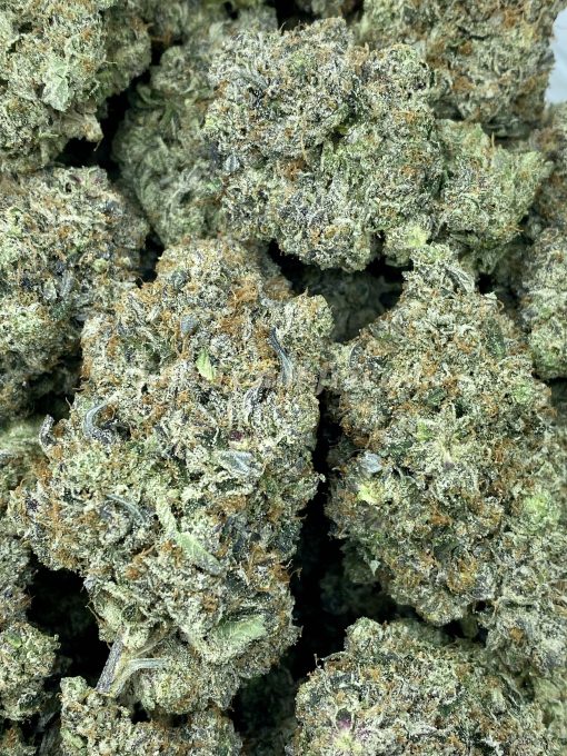 91 Octane, an exceptional strain bred from O.G Kush and G-13, renowned for its potent indica effects.
