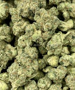 Pink Starburst is a delightful indica-dominant hybrid strain resulting from the potent cross of (DJ Short's Blueberry X Headband) X Sour Diesel BX3 varieties.