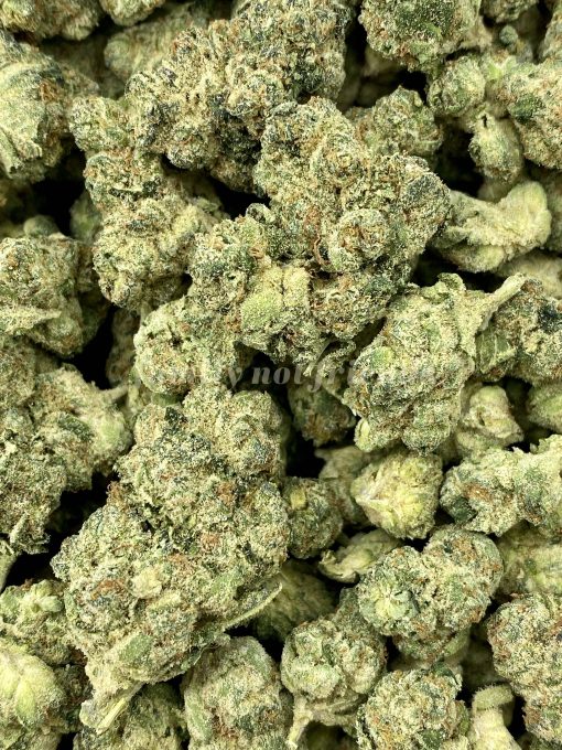 Pink Starburst is a delightful indica-dominant hybrid strain resulting from the potent cross of (DJ Short's Blueberry X Headband) X Sour Diesel BX3 varieties.