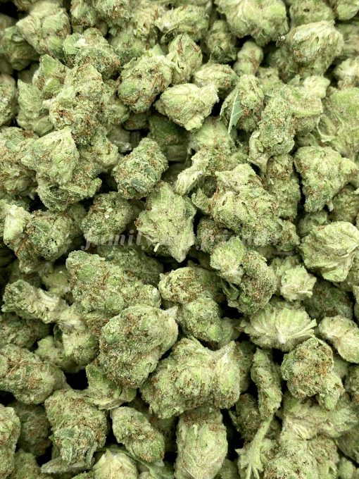 Strawberry Jerry is a remarkable sativa-dominant hybrid strain (70% sativa/30% indica) resulting from an intriguing combination of Berry-flavored varieties.