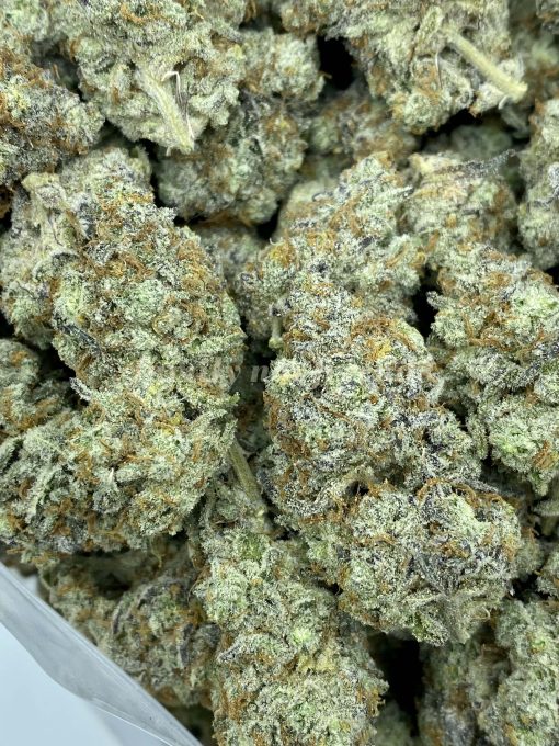 Zookies, a perfectly balanced hybrid strain (50% indica/50% sativa), emerges from the fusion of the beloved Animal Cookies and Gorilla Glue #4 strains.