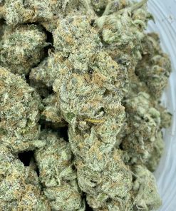 Blackberry Tropicana Punch, an exquisitely balanced hybrid strain (50% indica/50% sativa) that is a delightful fusion of Purple Punch and Tropicana Cookies strains.