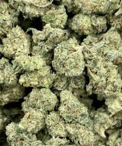 Cement Shoes is a unique and slightly indica-dominant hybrid strain (60% indica/40% sativa) resulting from a cross of Animal Cookies 09, OG Kush Breath, and Wet Dream strains.
