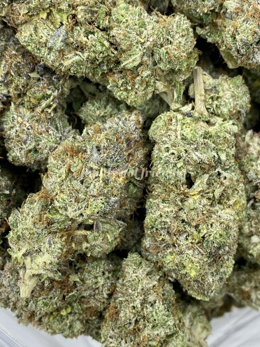 Pink Diablo is a popular hybrid cannabis strain that boasts a potent effect and a unique flavor profile.