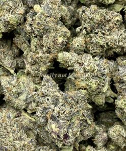 Pink Gasoline, a potent indica-dominant hybrid strain (90% indica/10% sativa), is the result of blending the classic Bubba Kush and Pink Kush strains.