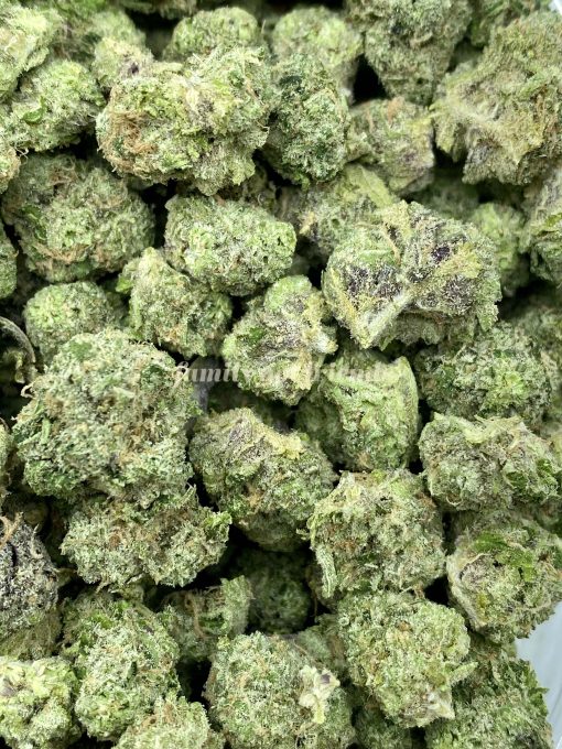 Purple Gelato is a hybrid cannabis strain that is known for its eye-catching appearance and potent effects.