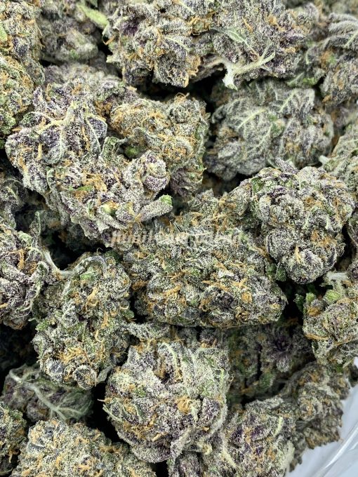 Raspberry Mint Cookies is a unique and slightly indica-dominant hybrid strain resulting from the fusion of Cherry Kush and Thin Mint Cookies strains.