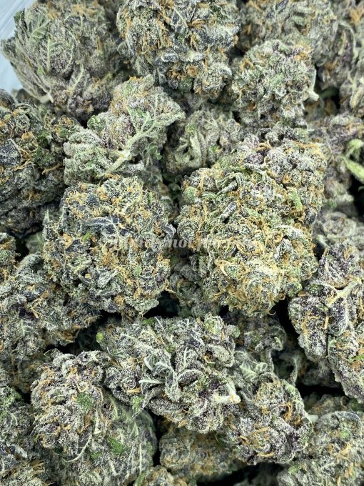 Raspberry Mint Cookies is a unique and slightly indica-dominant hybrid strain resulting from the fusion of Cherry Kush and Thin Mint Cookies strains.
