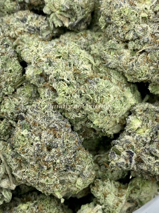 Triple OG, also known as "Triple Kush," is a potent indica-dominant hybrid strain created by crossing Triangle Kush, Contantine, and Master Yoda strains.