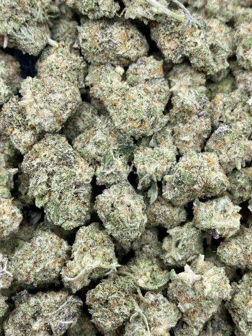 MAC1, also known as Miracle Alien Cookies F1, is an evenly balanced hybrid strain that is created by combining Alien Cookies F2 with Miracle 15 strains.